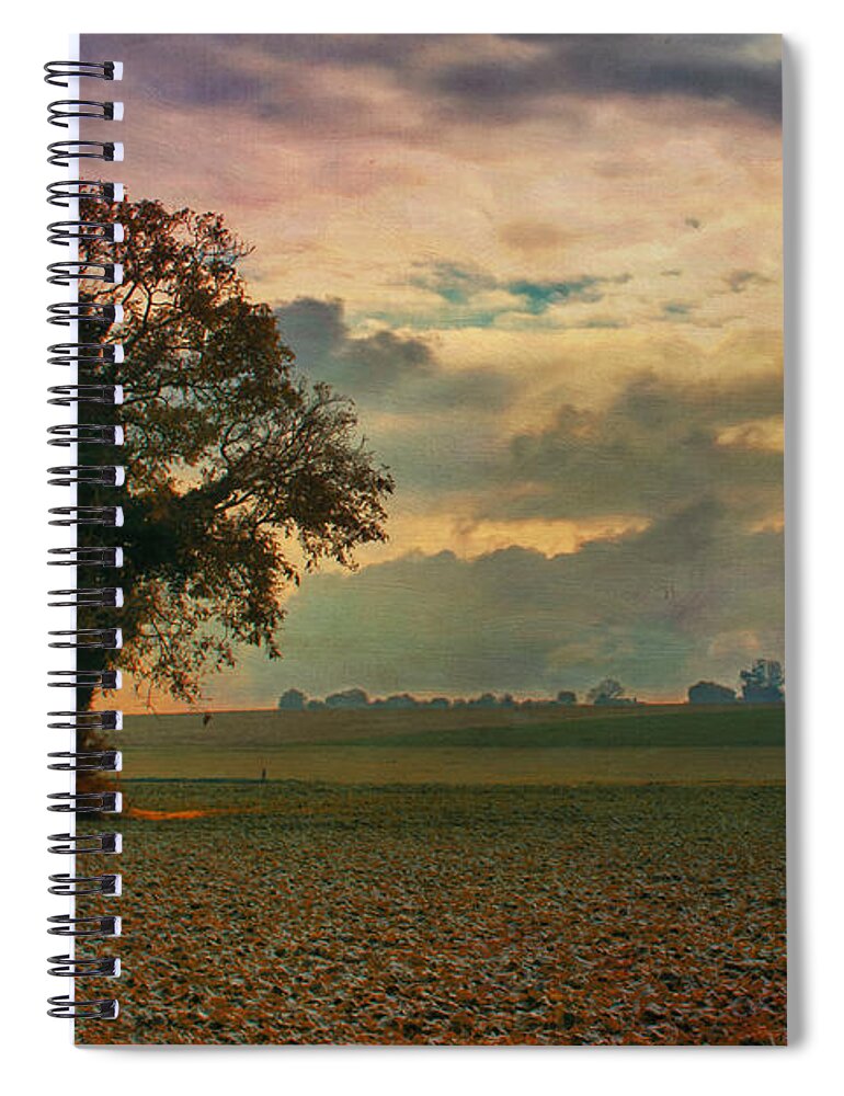 Arbre Spiral Notebook featuring the photograph L'Arbre #2 by Jean-Pierre Ducondi