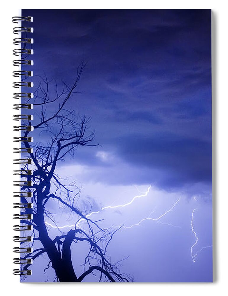 Tree Spiral Notebook featuring the photograph Lightning Tree Silhouette 29 by James BO Insogna