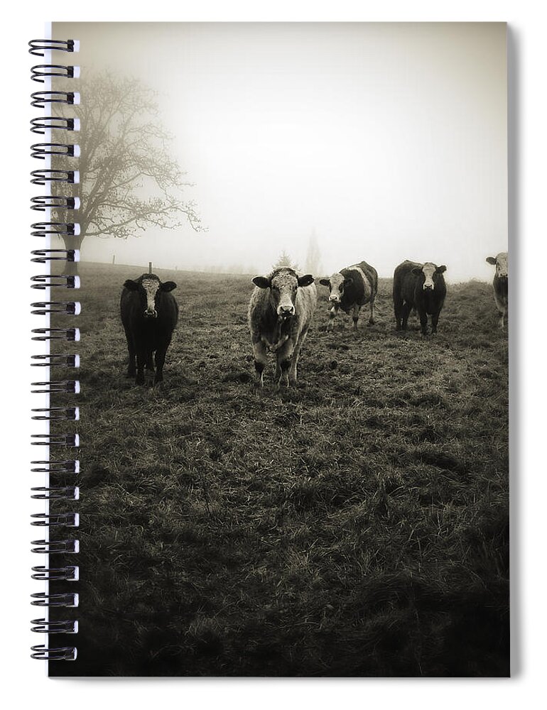 Fog Spiral Notebook featuring the photograph Livestock #1 by Les Cunliffe