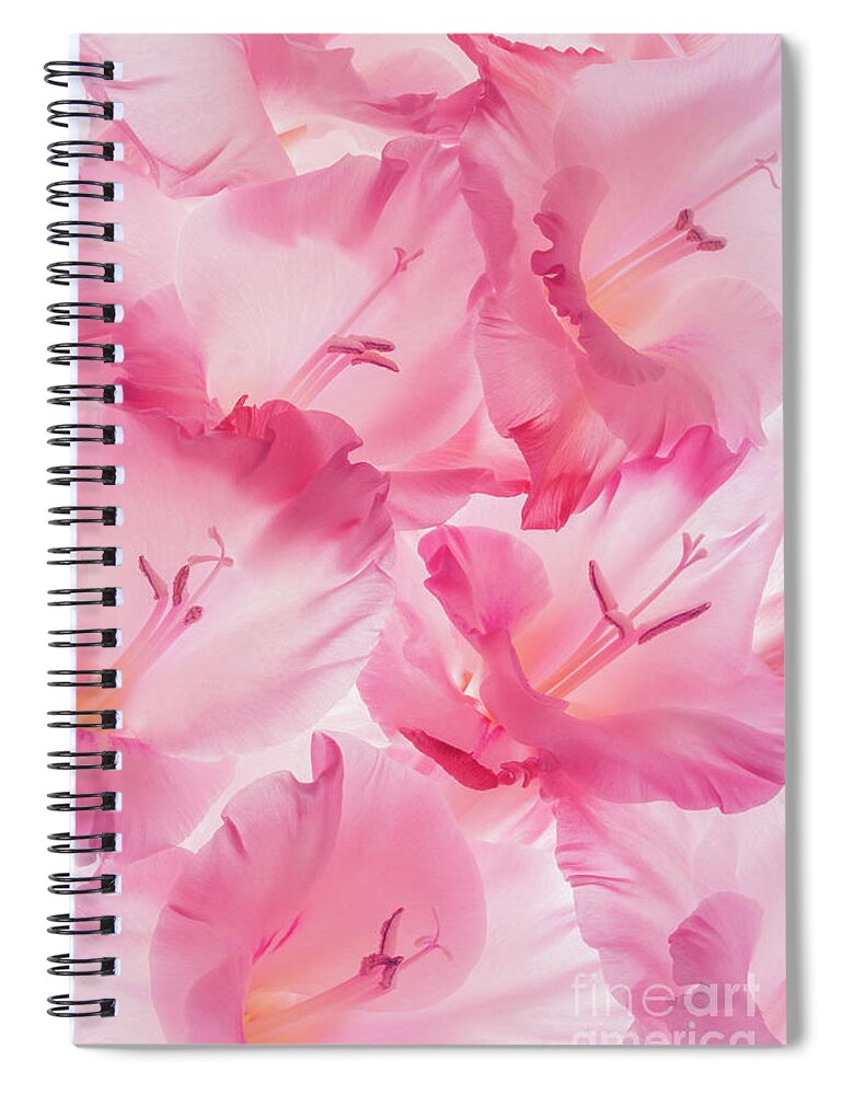 Looking Up Spiral Notebook featuring the photograph Looking Up #1 by Patty Colabuono