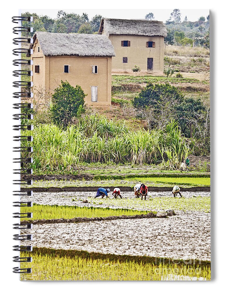 Madagascar Spiral Notebook featuring the photograph Madagascan Paddyfield #2 by Liz Leyden