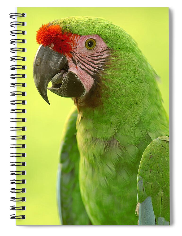 Feb0514 Spiral Notebook featuring the photograph Military Macaw Portrait Amazonian #1 by Pete Oxford