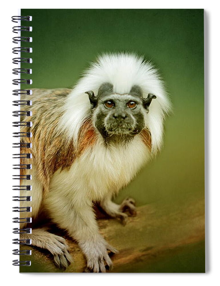 Animal Spiral Notebook featuring the photograph Monkey #1 by Heike Hultsch