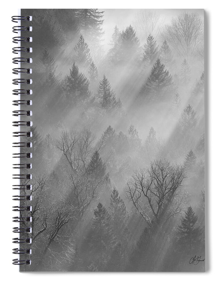 Morning Spiral Notebook featuring the photograph Morning Light -vertical #1 by Lori Grimmett