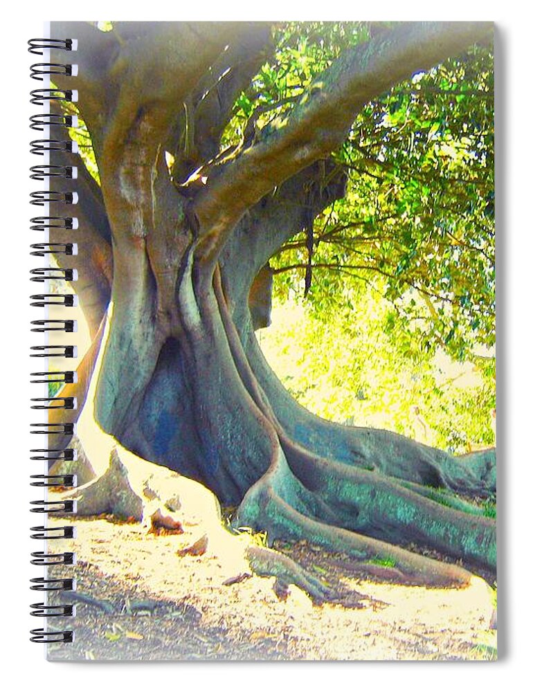 Tree Spiral Notebook featuring the photograph Morton Bay Fig Tree by Leanne Seymour