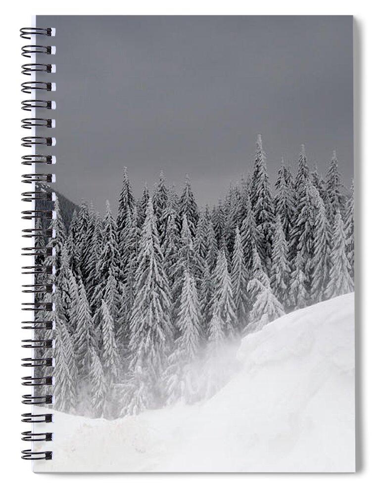Curve Spiral Notebook featuring the photograph Mountain Fir Forest In Winter Season #1 by Aureliangogonea