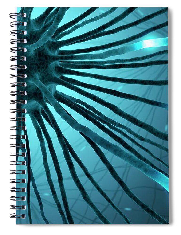 Color Image Spiral Notebook featuring the digital art Nerve Cell, Artwork #1 by Ktsdesign