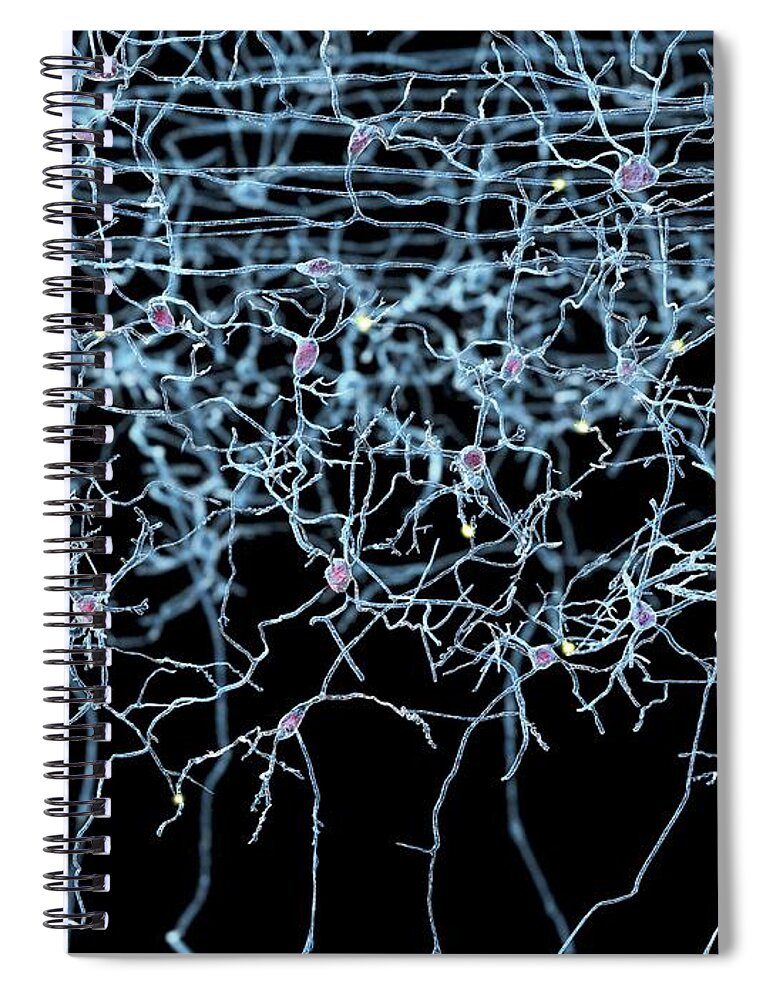 Art Spiral Notebook featuring the photograph Nerve Cells, Artwork #1 by Juan Gaertner