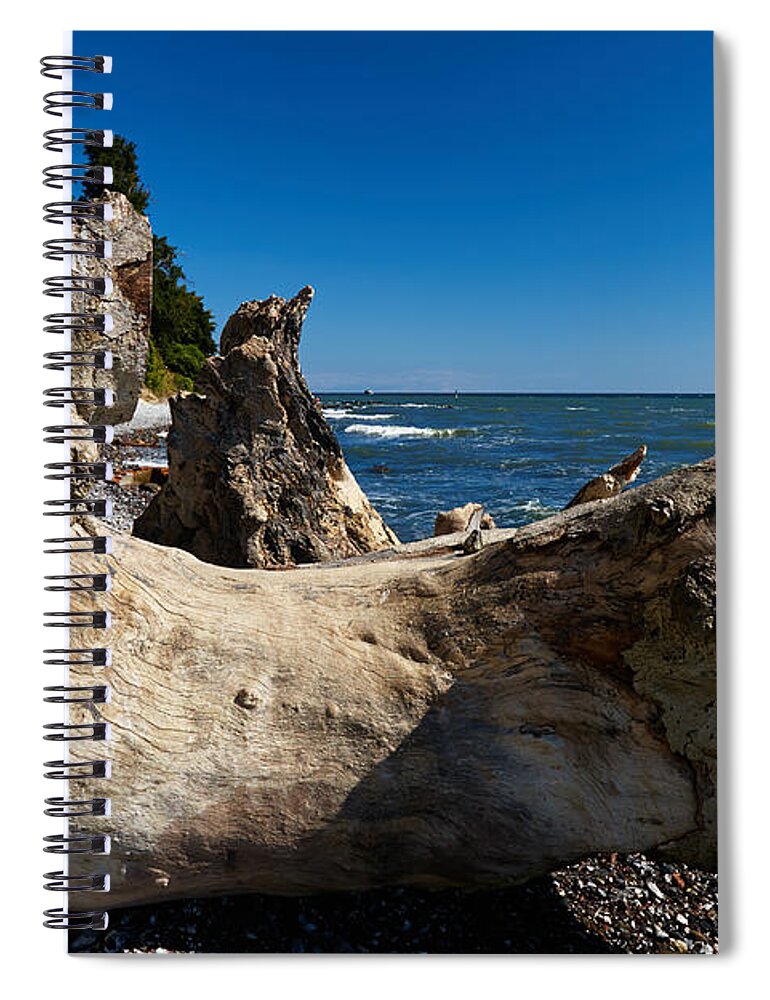 Fallen Spiral Notebook featuring the photograph Old tree on the coast of the Baltic Sea #1 by Nick Biemans
