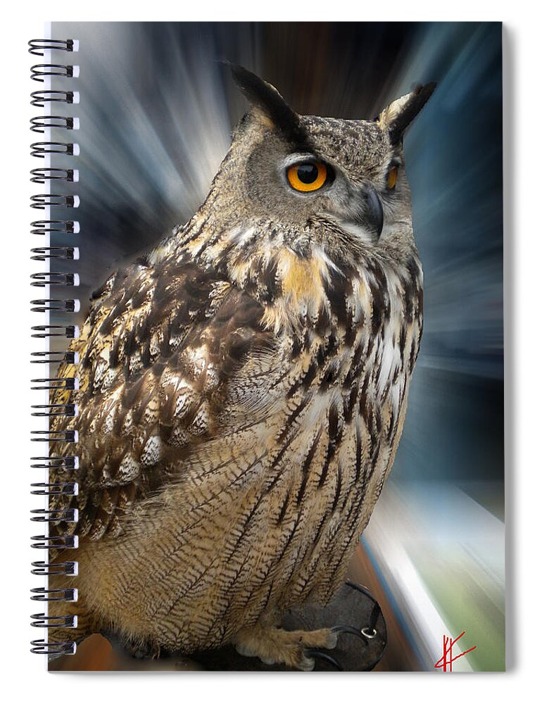 Colette Spiral Notebook featuring the photograph Owl Alba Spain #2 by Colette V Hera Guggenheim