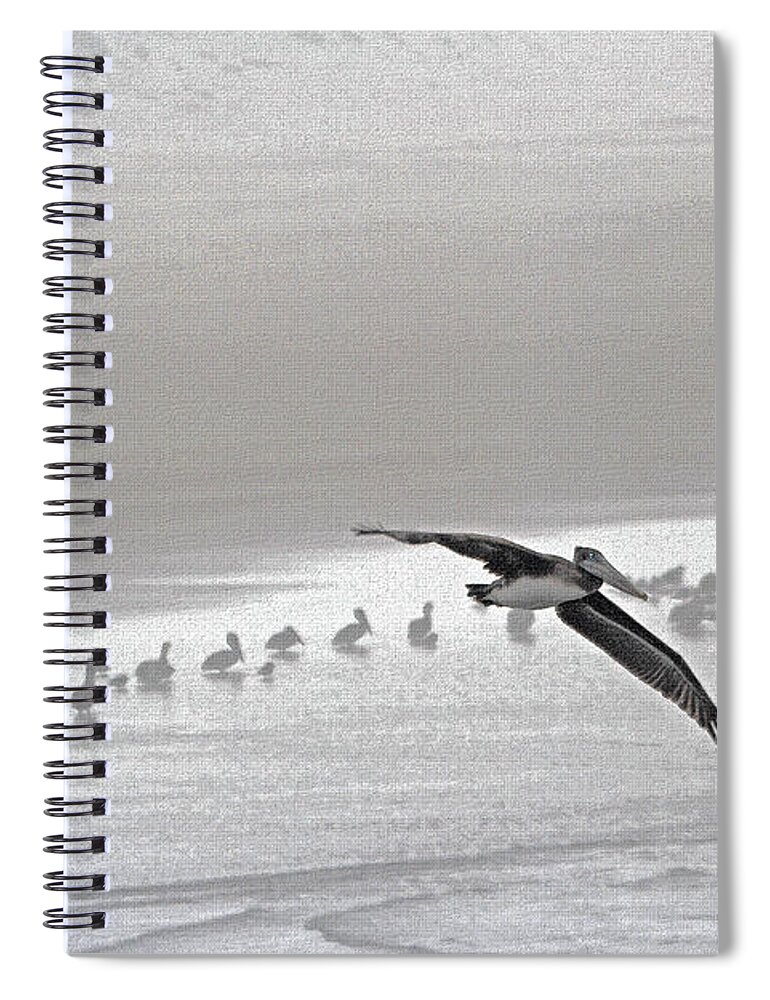Pelicans Foggy Picnic Spiral Notebook featuring the photograph Pelicans Foggy Picnic #3 by Tom Janca