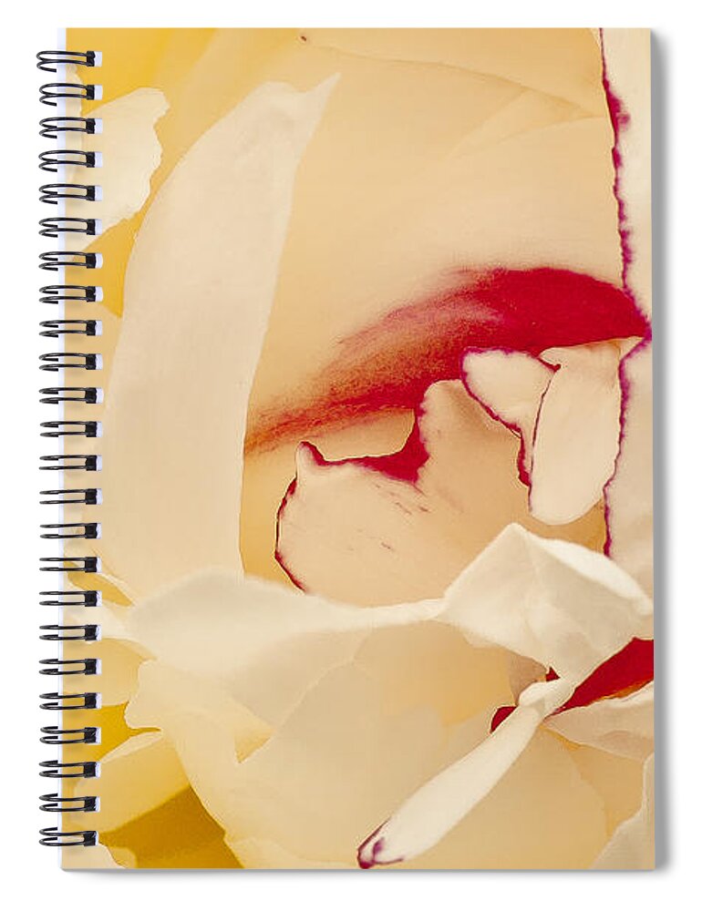 Flower Spiral Notebook featuring the photograph Peony by Steven Ralser