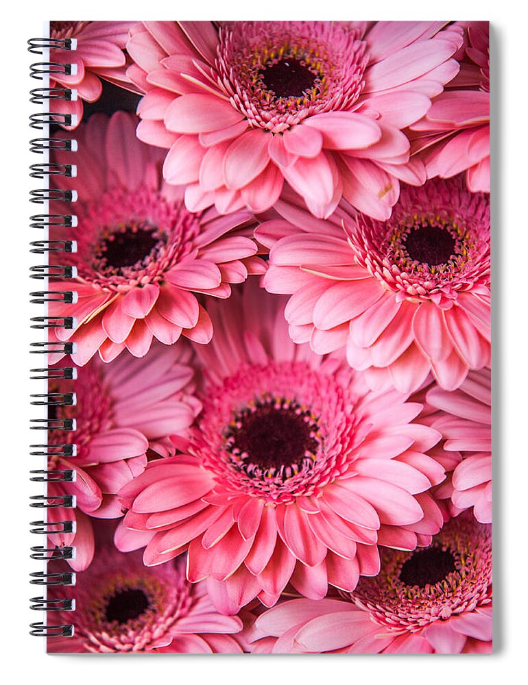 Gerbera Spiral Notebook featuring the photograph Pink Peach Gerbera. Amsterdam Flower Market #1 by Jenny Rainbow