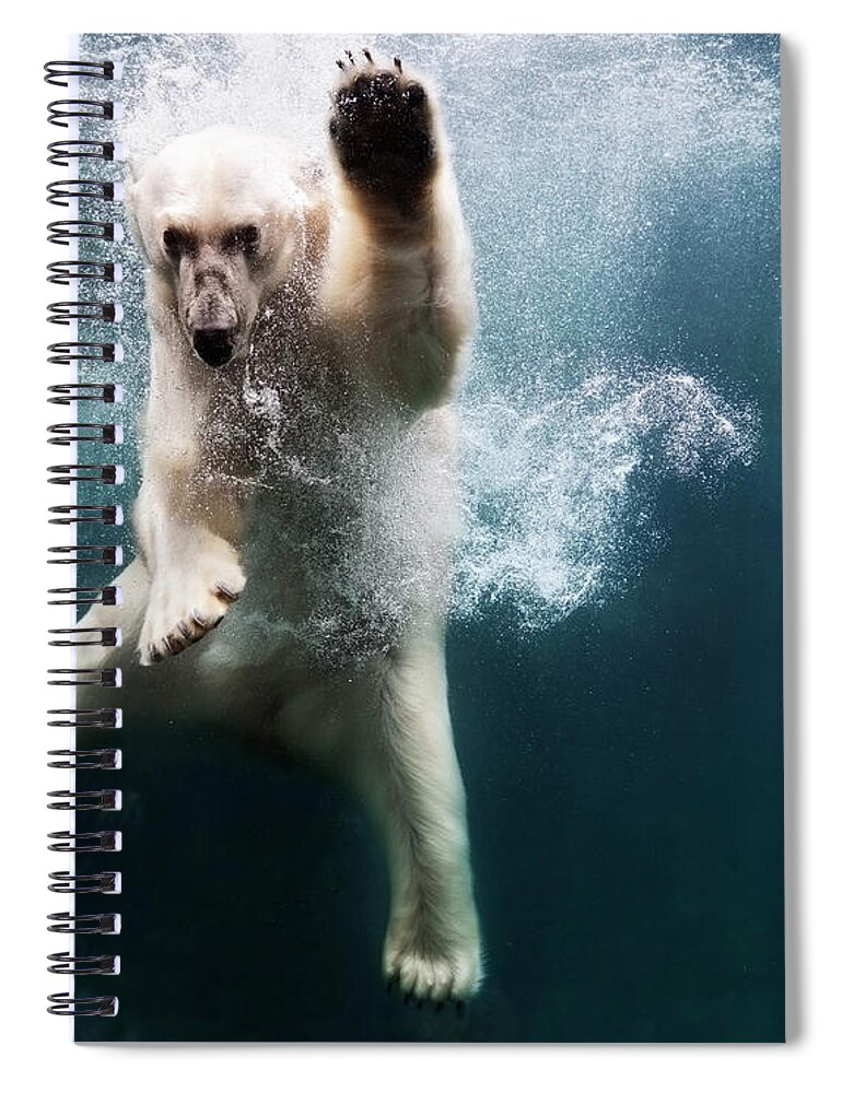 Diving Into Water Spiral Notebook featuring the photograph Polarbear In Water by Henrik Sorensen