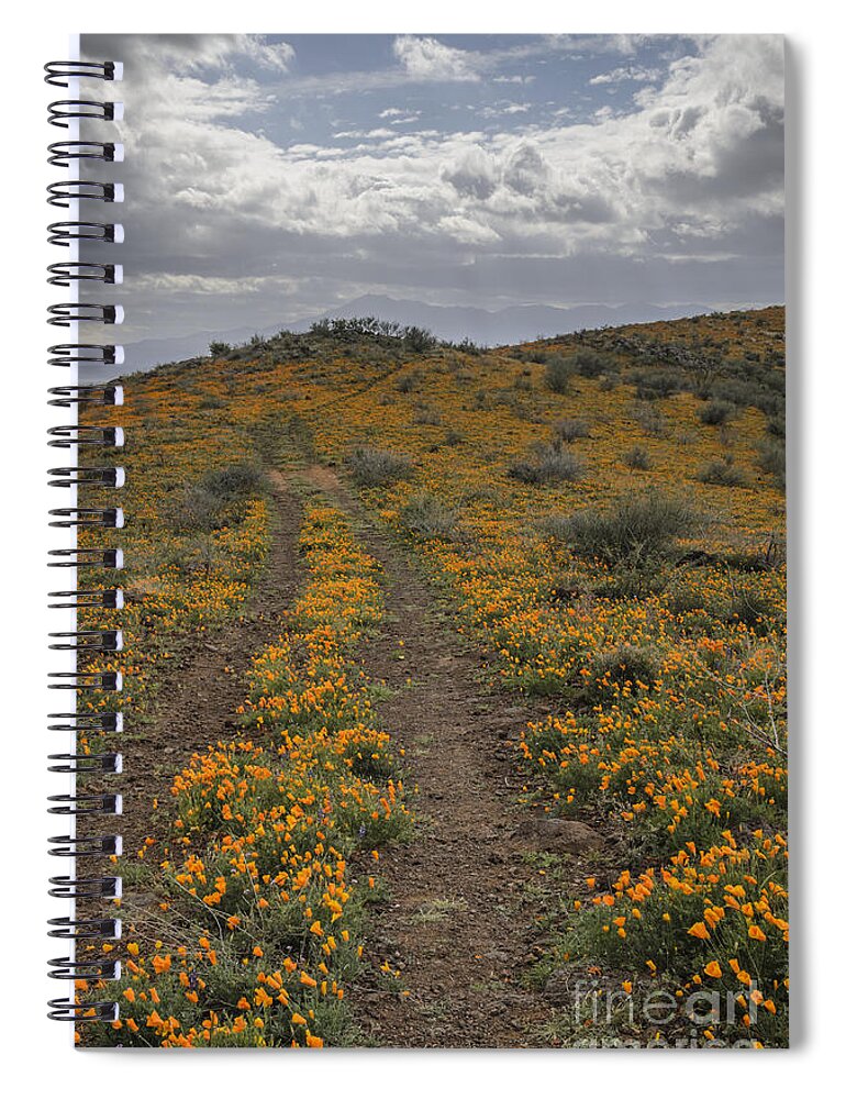 Poppies Spiral Notebook featuring the photograph Poppies at Peridot Mesa by Tamara Becker