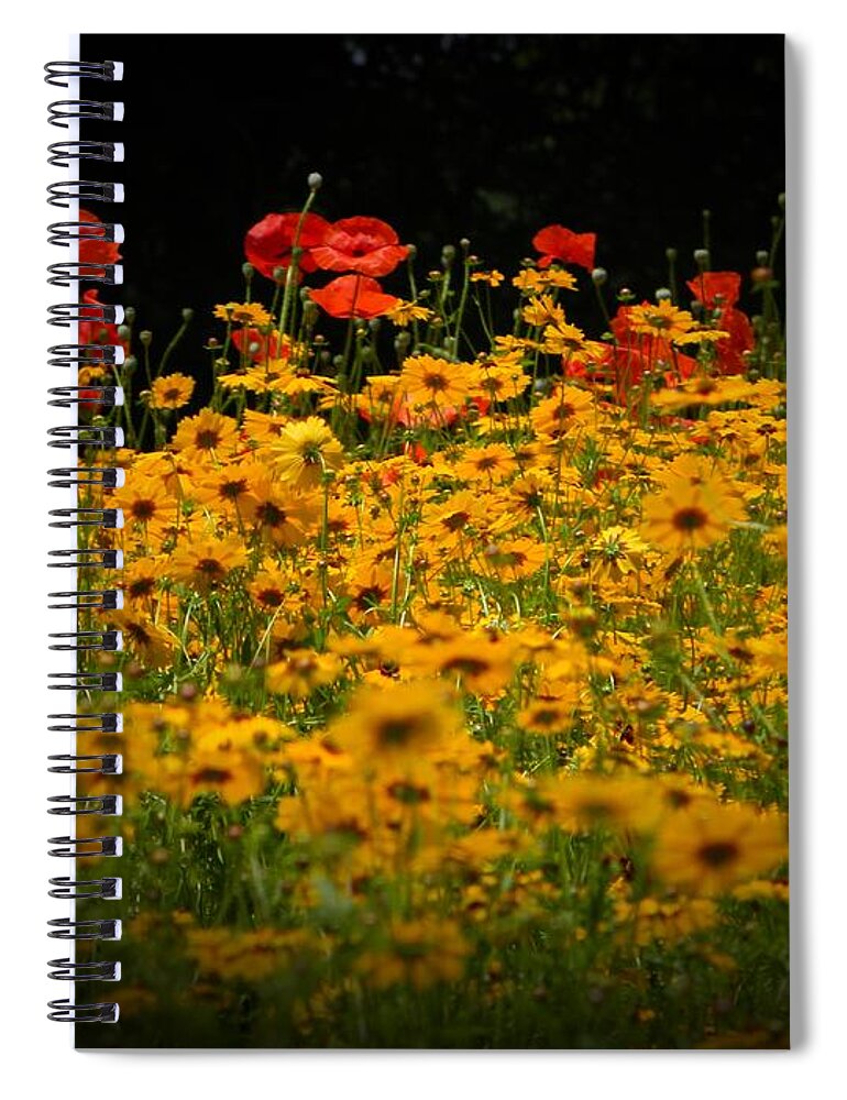 Flower Spiral Notebook featuring the photograph Poppies by Leslie Revels