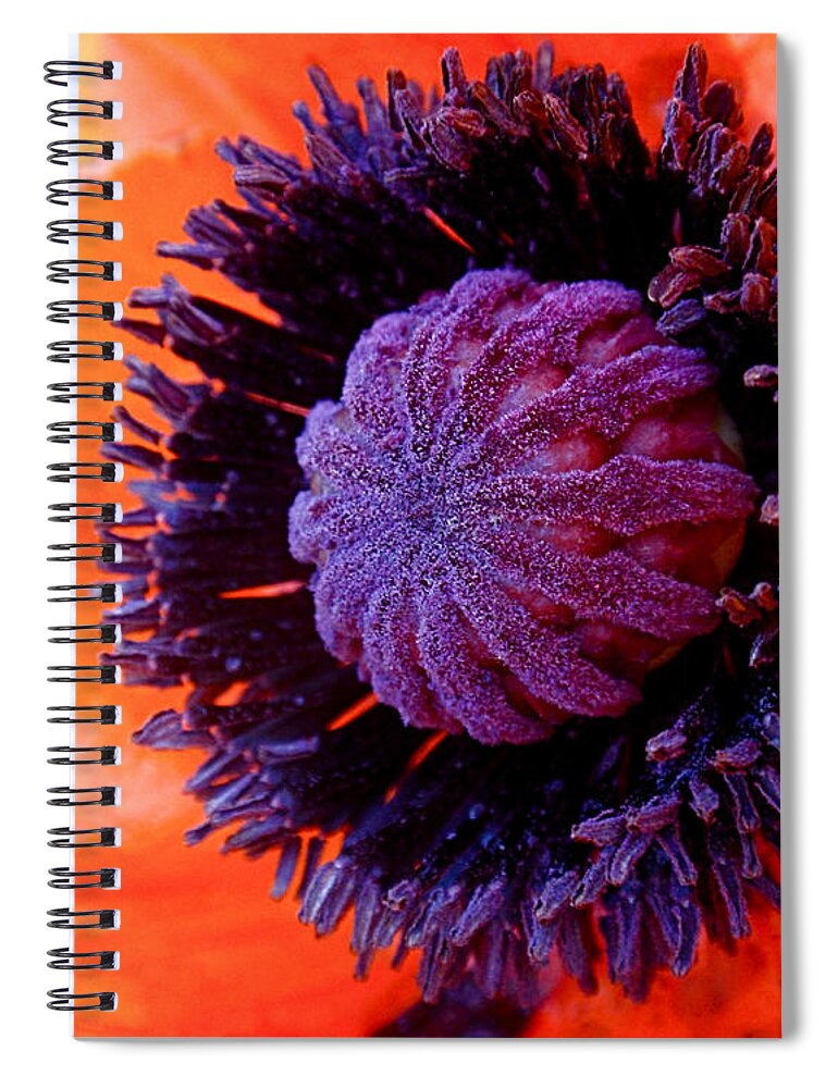 Poppy Spiral Notebook featuring the photograph Poppy by Rona Black