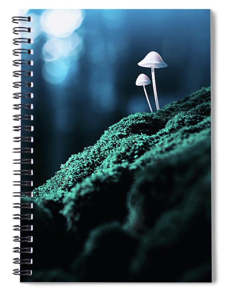 Scenics Spiral Notebook featuring the photograph Psychedelic Mushrooms #1 by Misha Kaminsky