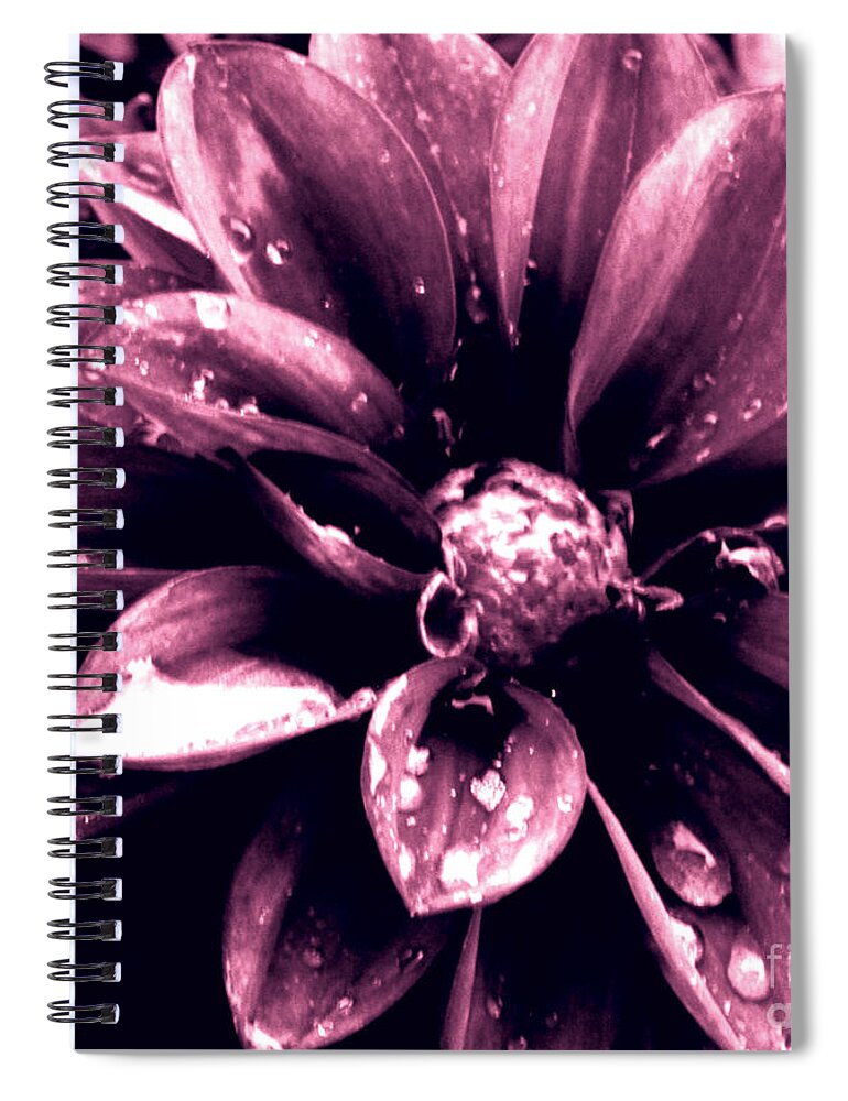 Jamie Lynn Gabrich Spiral Notebook featuring the photograph Red Rain #2 by JamieLynn Warber
