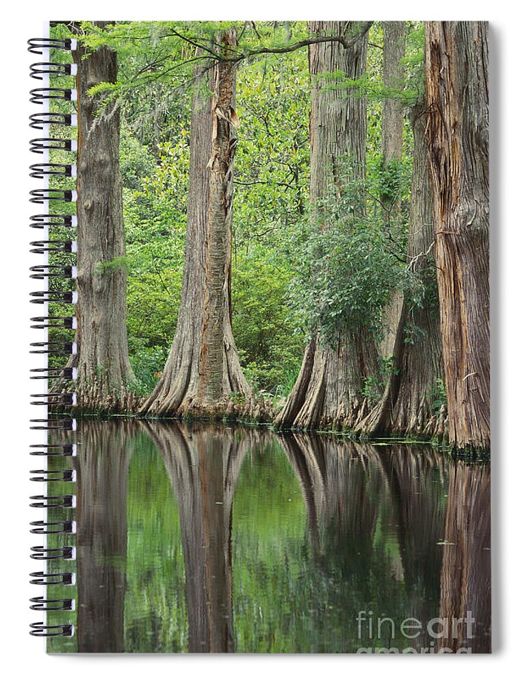 Outdoors Spiral Notebook featuring the photograph Reflections Of Cypress Trees #1 by Art Wolfe