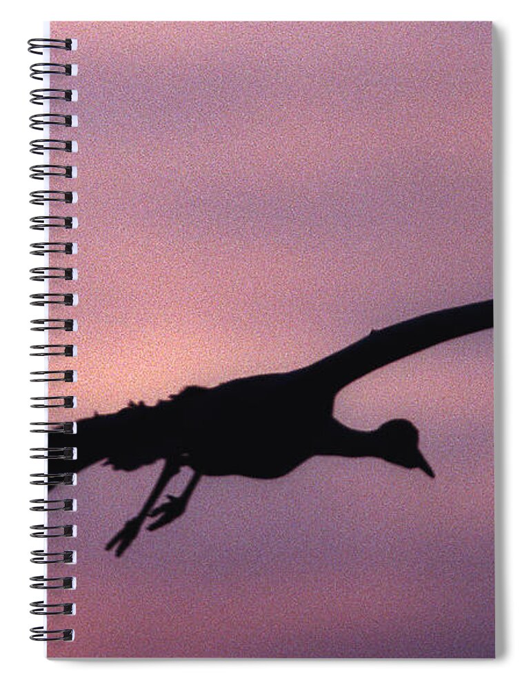 Sandhill Crane Spiral Notebook featuring the photograph Sandhill Crane by Steven Ralser