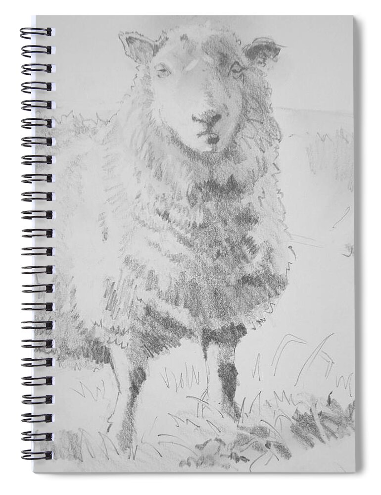 Sheep Spiral Notebook featuring the drawing Sheep Pencil Drawing #1 by Mike Jory