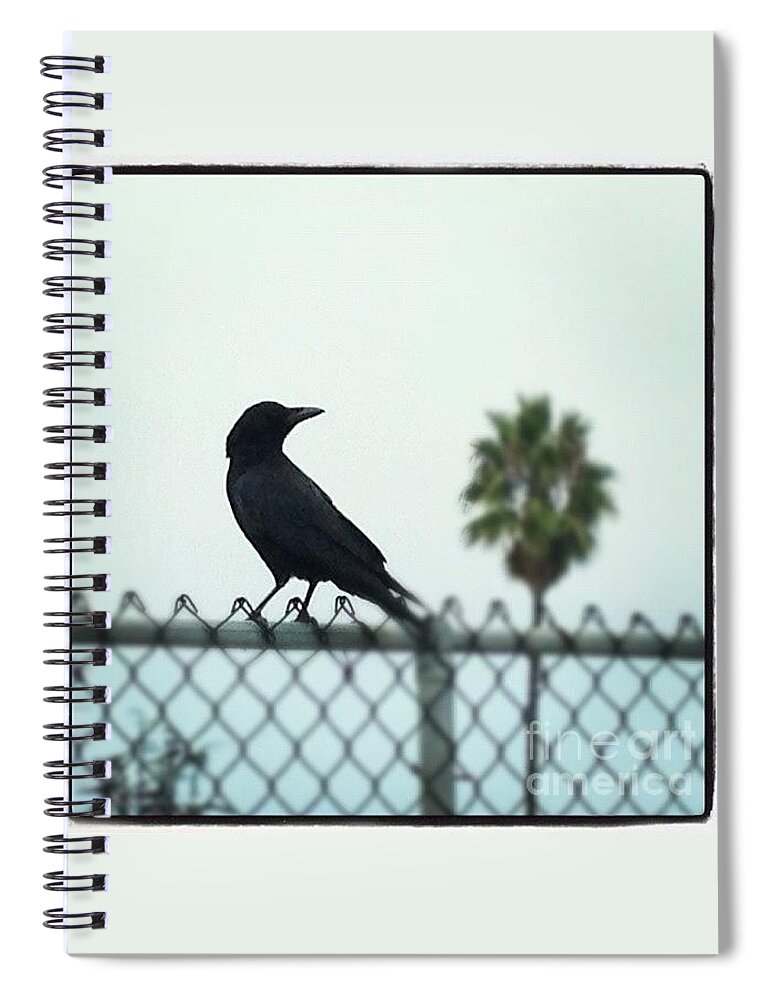 Crow Spiral Notebook featuring the photograph Silhouette by Denise Railey