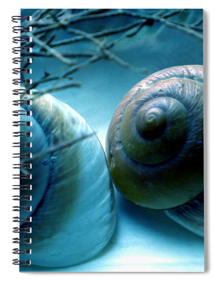 Colette Spiral Notebook featuring the photograph Snail Joy #2 by Colette V Hera Guggenheim