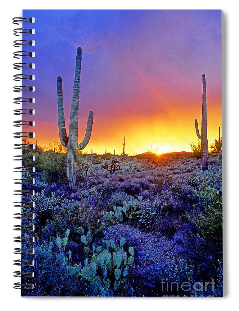 Sonoran Spiral Notebook featuring the photograph Sonoran Desert At Dusk #3 by Adam Sylvester