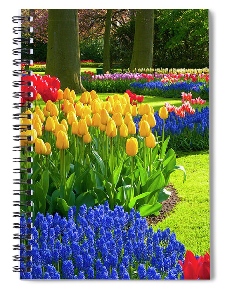 Scenics Spiral Notebook featuring the photograph Spring Flowers In A Park #1 by Jacobh