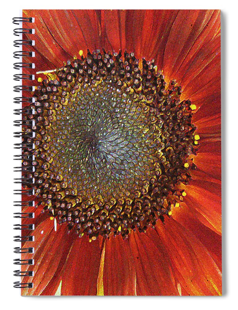 Flora Spiral Notebook featuring the photograph Sunflower by Kathy Bassett