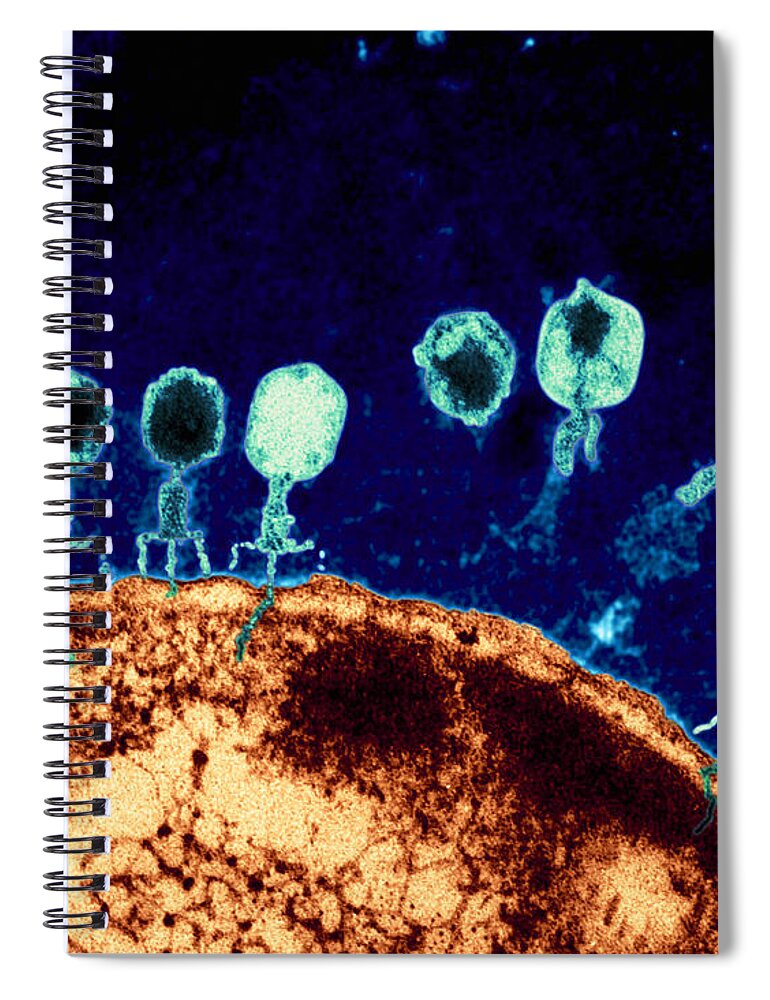 Bacteriophage Spiral Notebook featuring the photograph T-bacteriophages And E-coli #1 by Eye of Science