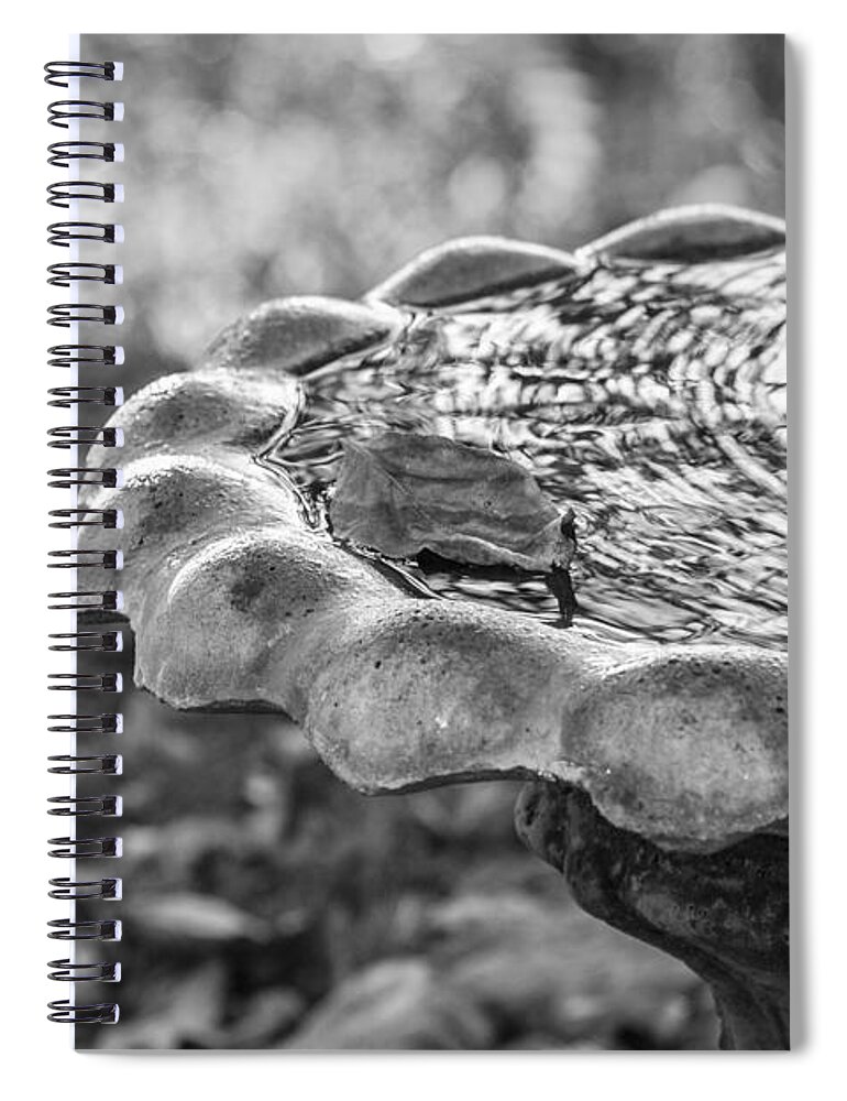 Birdbath Spiral Notebook featuring the photograph Tennessee Birdbath #2 by Carolyn Marshall