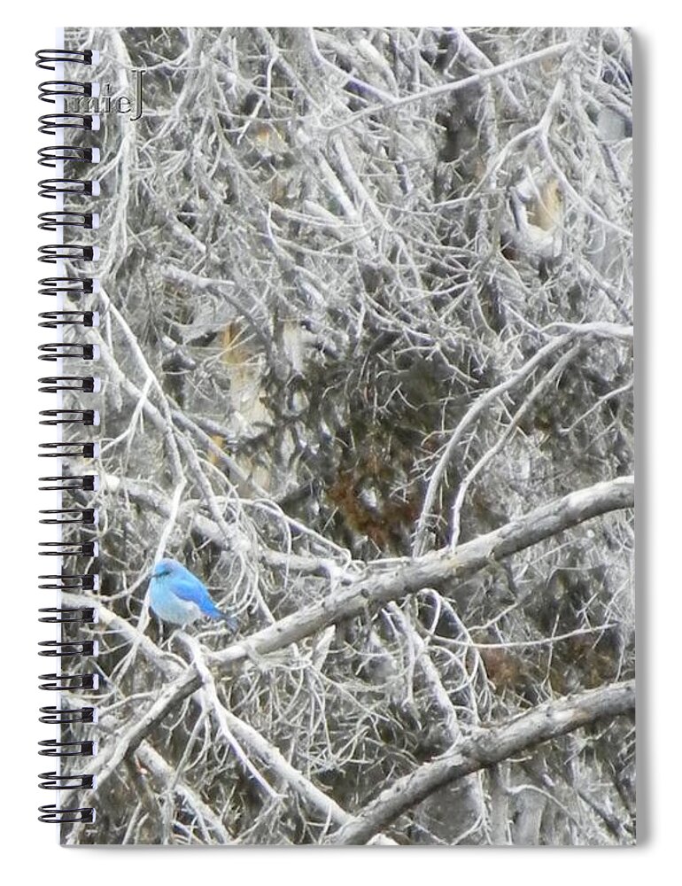 Blue Spiral Notebook featuring the photograph The Blue Stallion by Jamie Johnson