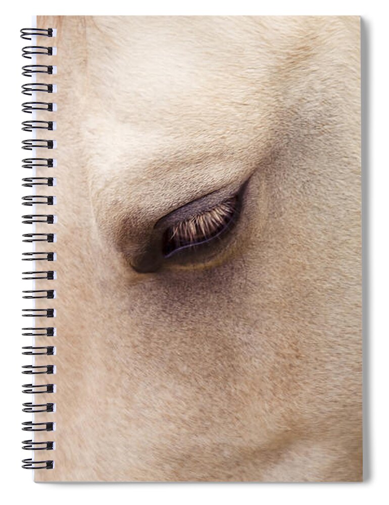 Horses Spiral Notebook featuring the photograph The Guardian Of My Heart #2 by Sharon Mau