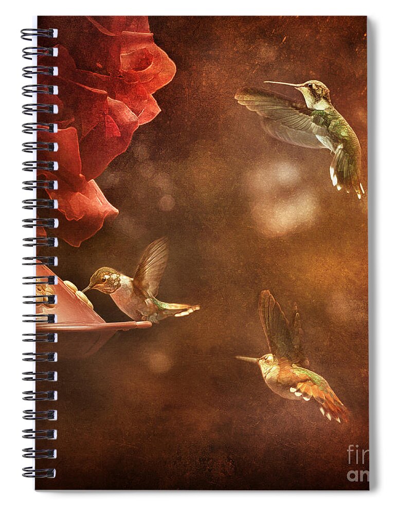 Vintage Spiral Notebook featuring the photograph The Hummingbird Feeder #1 by Cindy Singleton