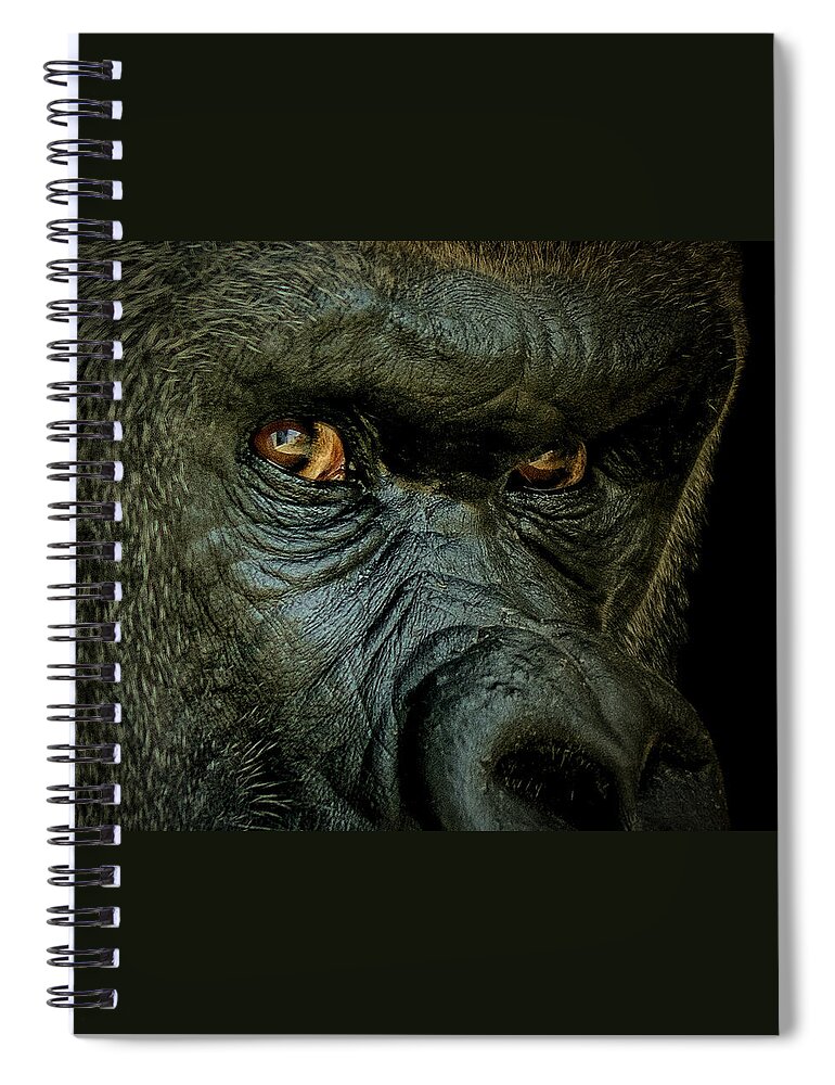 Animals Spiral Notebook featuring the photograph The Look #1 by Ernest Echols