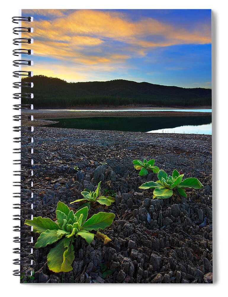 Beauty Spiral Notebook featuring the photograph The Way Of Life #1 by Kadek Susanto
