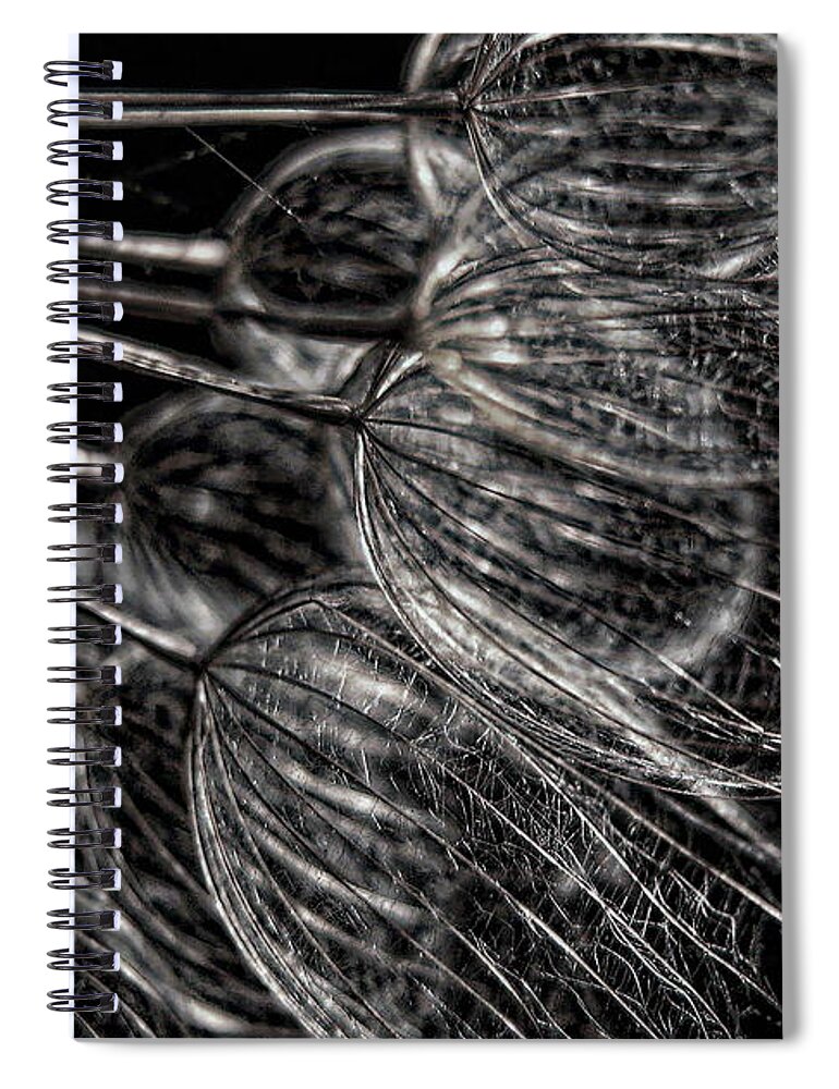 Flower Spiral Notebook featuring the photograph Silver Flowers by Dale Kauzlaric