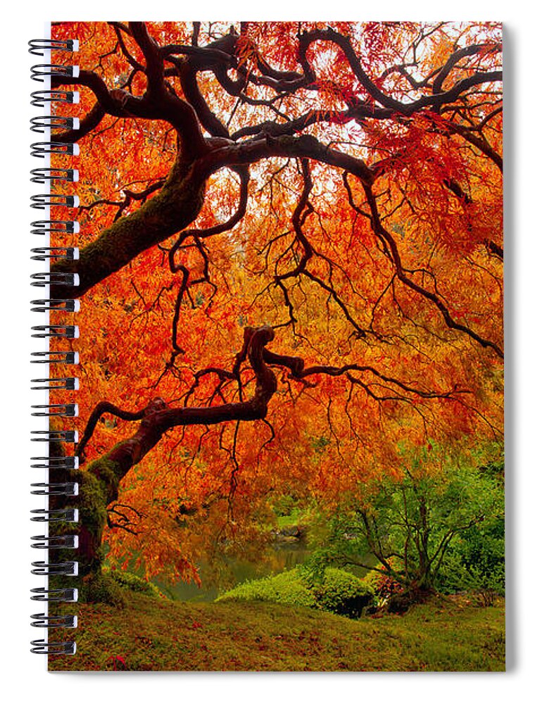 Autumn Spiral Notebook featuring the photograph Tree Fire #2 by Darren White