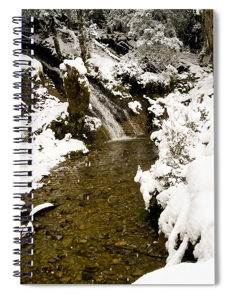 Landscape Spiral Notebook featuring the photograph Trees in Snow #1 by THP Creative