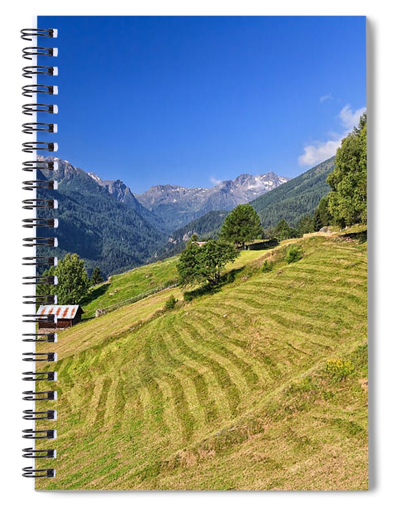 Alpine Spiral Notebook featuring the photograph Trentino - Pejo valley #1 by Antonio Scarpi