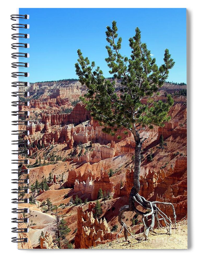 Bryce Canyon Spiral Notebook featuring the photograph Twisted by Jemmy Archer