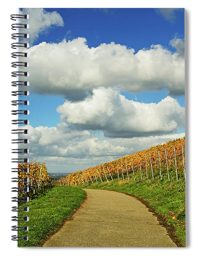 Scenics Spiral Notebook featuring the photograph Vineyard Landscape #1 by Jochen Schlenker