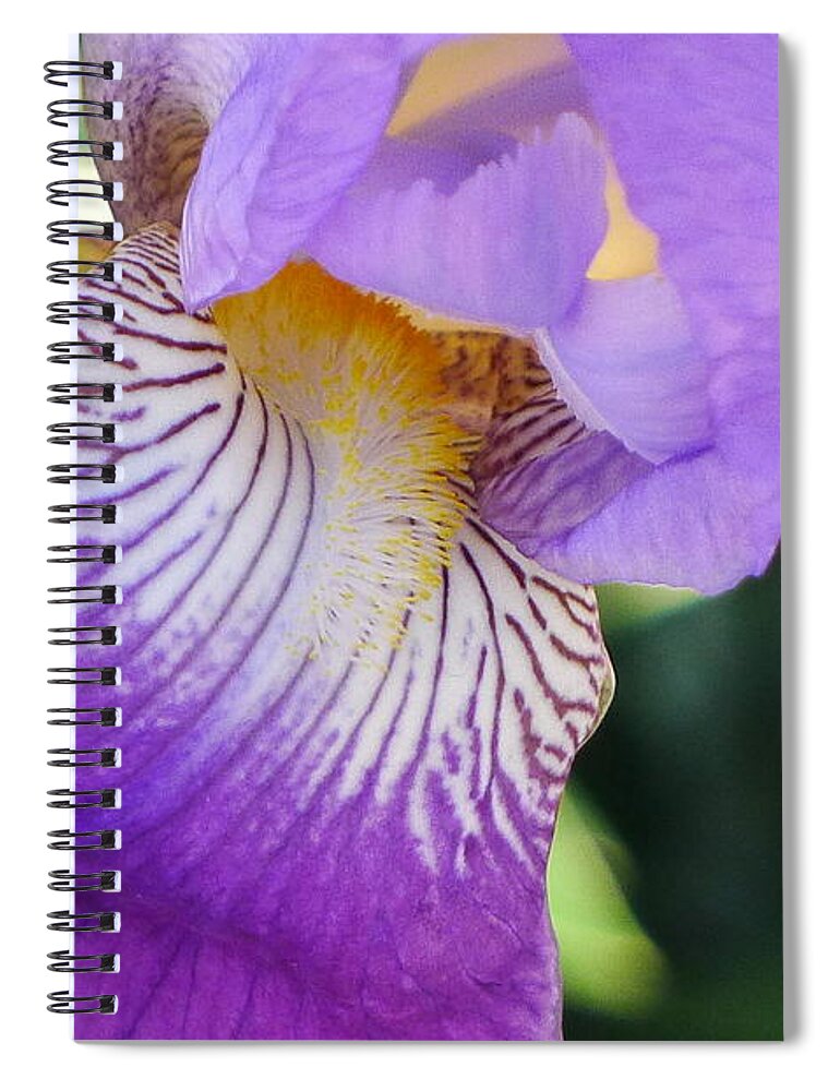 Violet Spiral Notebook featuring the photograph Violet by Nora Boghossian