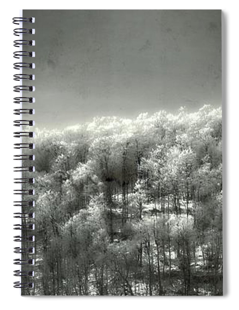  Tree Art Spiral Notebook featuring the photograph Distant Trees with Ice by Marysue Ryan