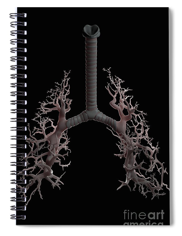 Digitally Generated Image Spiral Notebook featuring the photograph Bronchial Branches #10 by Science Picture Co