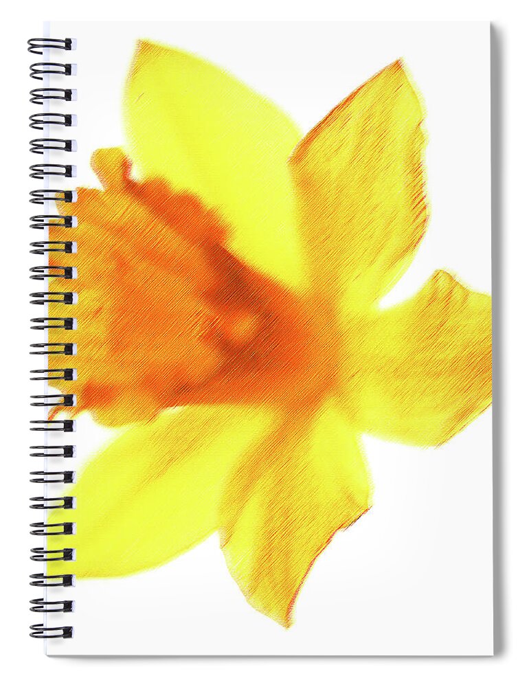 White Background Spiral Notebook featuring the photograph Organic #10 by Michael Banks