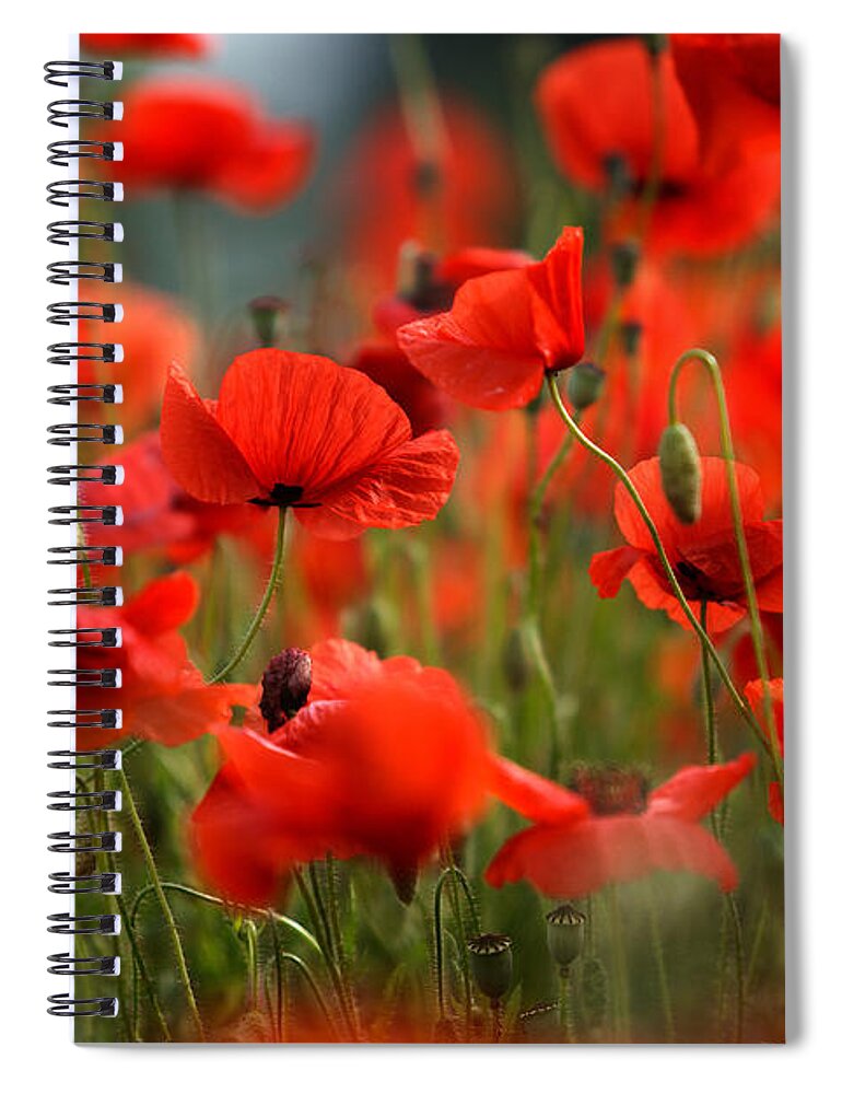 Poppy Spiral Notebook featuring the photograph Poppy Dream by Nailia Schwarz