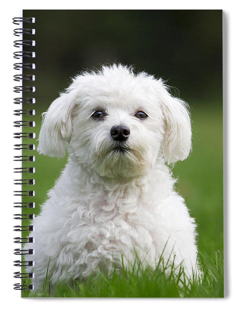 Maltezer Spiral Notebook featuring the photograph 110506p113 by Arterra Picture Library